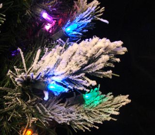 2' Pre Lit Flocked Jackson Pine Christmas Tree in Burlap Sack Multi LED Lights