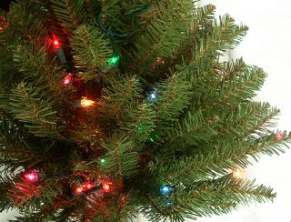 14' Dunhill Fir Multi Pre Lit Artificial Christmas Tree