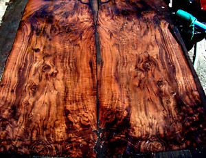 4 Figured Claro Walnut Burl Wood Veneer 21 " x 54" Luthier Furniture Etc
