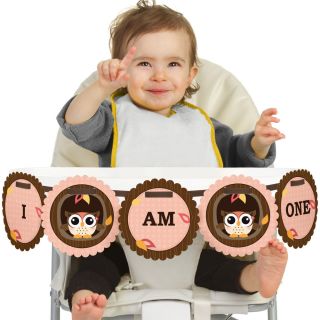 Owl Girl High Chair Birthday Party Banners
