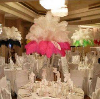 5 100pcs White High Quality Natural Ostrich Feathers Fit Xmas Wedding Decoration