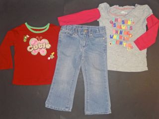 11 PC Baby Girl Clothes Fall Winter Lot 2T 3T Excellent Used