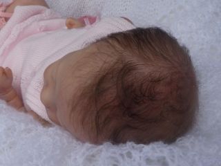 Jackies Babies Reborn Baby Girl Meredith Bonnie Brown New Sculpt