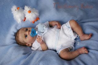 ♥ Thistleberry Babies Full Body Solid Silicone Baby Boy Beautifully Reborn ♥