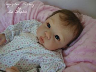 Sugarplum Nursery Reborn Baby Doll by Laura Tuzio Ross Ltd Ed 312 1000 Norsv