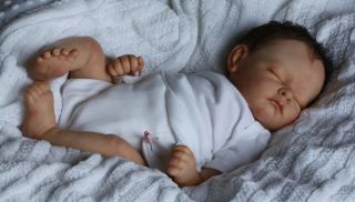 Doves Nursery ♥ Reborn Baby Newborn Doll ♥ "The Cradle" Series ♥ L Murray Sculpt