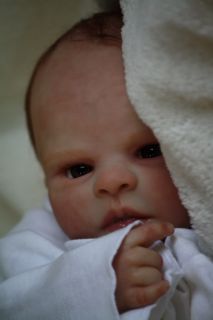♥doves Nursery♥ Realistic Reborn Baby Boy A Denise Pratt Sculpt
