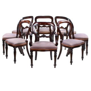 8 Victorian Style Carved Balloon Back Dining Chairs X