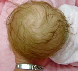 Beautiful Preemie Reborn Baby Girl Art Doll Jody by Linda Murray Sold Out