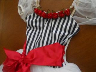 Mary Poppins Jolly Holiday Costume Girls Child Large