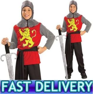 Boys Medieval Knight Costume