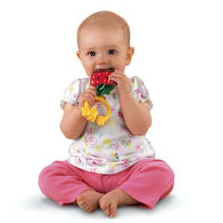 New Fisher Price Strawberry Teether Baby Girl's Infant Toys