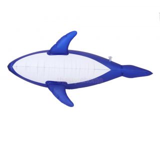 Inflatable Pool Floats