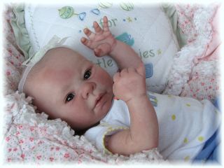 Adorable Reborn Preemie Denise Pratt Kadence Baby Girl Tinysprouts 