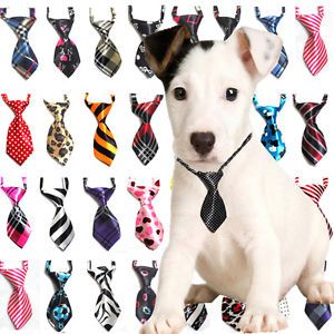 Lot 2 10 Pcs Dog Cat Teddy Pet Puppy Toy Kids Grooming Bow Tie Necktie Clothes