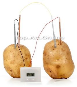 Lovely Cute Potato Clock Science Project Experiment Kit Kids Lab Home School Toy