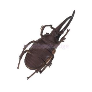 5X Kids Science Nature Education Hercules Beetle Toy Insect Animal Home Decor