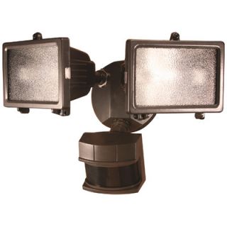 Heath Zenith Gray Motion Activated 270 Degree Security Light