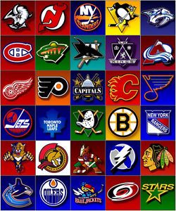 NHL Hockey Team Refrigerator Magnets All 30 Teams National Hockey League