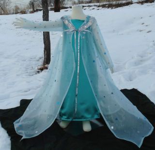 Princess Elsa Frozen Costume Dress Birthday Halloween Dressup Queen