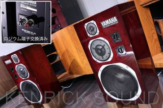 Kenrick sound yamaha ns 2024 1000m