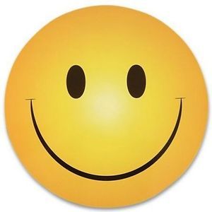 12 Smiley Smile Happy Face Magnet Magnetic Car Decals