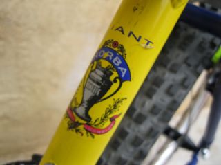 Giant ATX 990 Team Champion Mountain Bike Bicycle