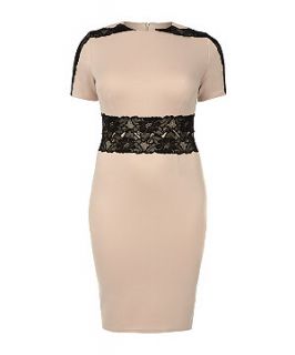 AX Curve Shell Pink Lace Insert Bodycon Dress