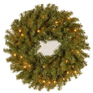 24" Norwood Fir Wreath with Clear Lights