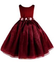 AMJ Dresses Inc Elegant Burgundy Flower Girl Holiday Dress Size 2 Clothing