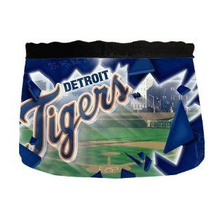 Custom Detroit Tigers Dog Cat Food Water Bowl PB 173
