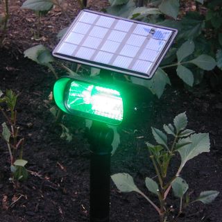 Smart Solar 8 LED Solar Spotlight Green   Solar Spot Lights
