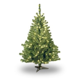 4 ft. Kincaid Spruce Pre Lit Christmas Tree   Clear   Christmas Trees