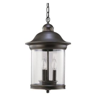 Sea Gull Hermitage Outdoor Hanging Light   19H in. Antique Bronze   Outdoor Hanging Lights
