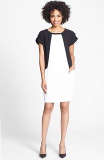 Adrianna Papell Colorblock Shift Dress