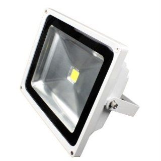 LunaSea Outdoor LED Flood Light   12V/50W/4500 Lumens   Cool White Sports & Outdoors