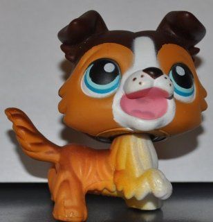Collie #237 (Dog, Brown, Blue Eyes) Littlest Pet Shop 2005 (Retired) Collector Toy   LPS Collectible Replacement Single Figure Loose (OOP Out of Package) 