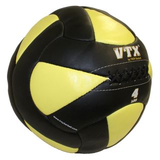 VTX by Troy Barbell Leather Wall Ball Multicolor   PWB 016