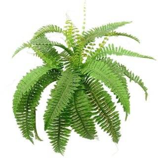   Fern with Wicker Basket Silk Plant in Green   Nearly Natural   6549