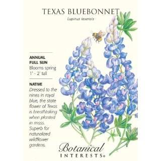    Texas Bluebonnet Heirloom Seeds 50 Seeds Patio, Lawn & Garden
