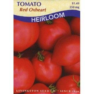  Oxheart Tomato 125 Seeds   GARDEN FRESH PACK Patio, Lawn 
