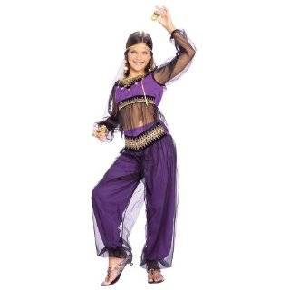 Girls Harem or Belly Dancer Costume   Child Small Girls Harem or Belly 