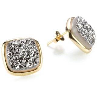   Illume Titanium Druzy Stone Circle 18k Gold Plated Earrings Jewelry