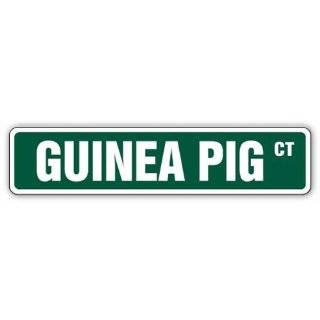 GUINEA PIG Street Sign pet food toy small cage signs