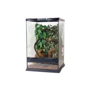   Med Naturalistic Terrarium, 18 L X 18 W X 24 H