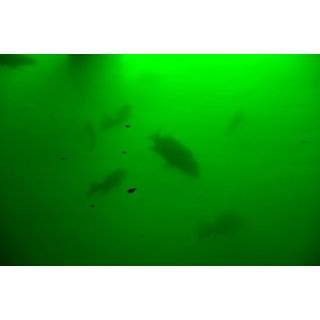  Fishing Light   400w Dock / Pond Submersible Underwater Light 